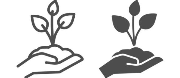 Young sprout with three leaves in hand line and solid icon, save nature concept, seedling with handful of soil on human palm sign on white background, young plant icon, outline style. Vector graphics