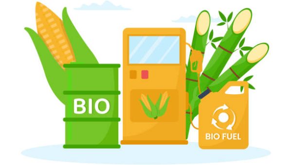 Biofuel Life Cycle of Natural Materials and Plants with Green Barrels or Biogas Production Energy in Flat Cartoon Hand Drawn Templates Illustration