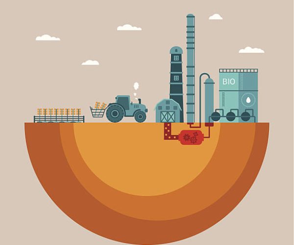 Vector concept of biofuels refinery plant for processing natural resources like biodiesel