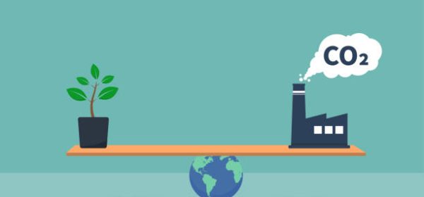 Carbon emission and clean energy concept, sustainable resources, concern about environmental issues, globe balancing between green plant and CO2 exhaust