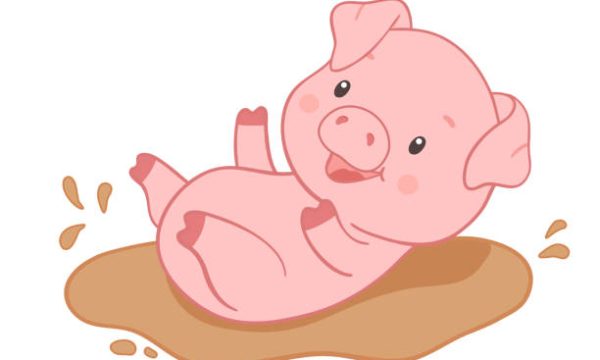 Cute piggy playing in puddle. Hand drawn vector illustration isolated on white background. Funny Farm animal for kids
