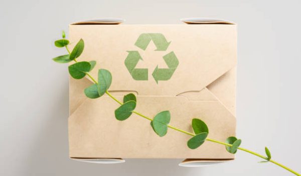 Paper food container with a recycling sign and a branch of a green plant. Eucalyptus branch on an eco-friendly cardboard box. Zero waste concept