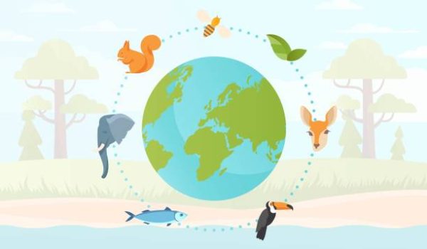 Biodiversity as species variety. Animals and fish next to globe, biology and fauna, wild life. Poster or banner for website. Educational material and infographics. Cartoon flat vector illustration