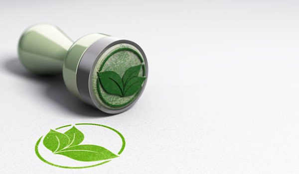Rubber stamp over paper background with leaves symbol printed on it. Concept image for eco friendly communication.