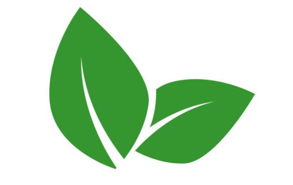 Vegan food vector label concept. Green leaf isolated on white bacground. Bio, ecology, organic logos and badges