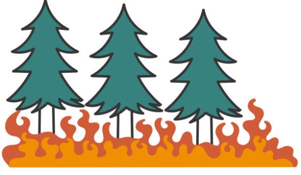 hand drawn doodle tree burned with fire illustration