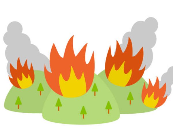 Illustration of wildfire and burning smoke
