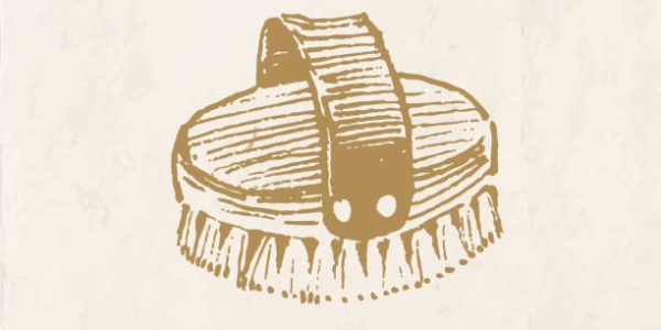 Hand drawn wooden brush, animal grooming item, engraving style drawing