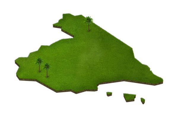 3d illustration of a soil slice, green meadow with trees isolated on white