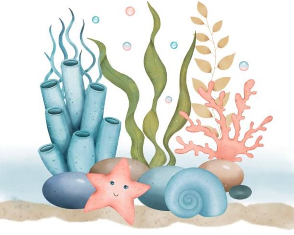 Sea composition with corals, stones, shell, starfish. Underwater world.Watercolor illustration