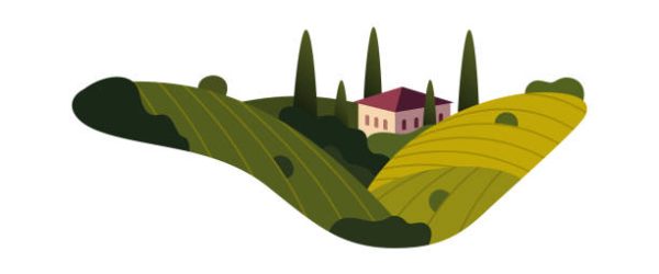 Vineyard wine grapes hills farm banner concept sign. Romantic rural landscape in sunny day with villa, vineyard fields, plantation hills, farms, meadows and trees. Vector color creative illustration