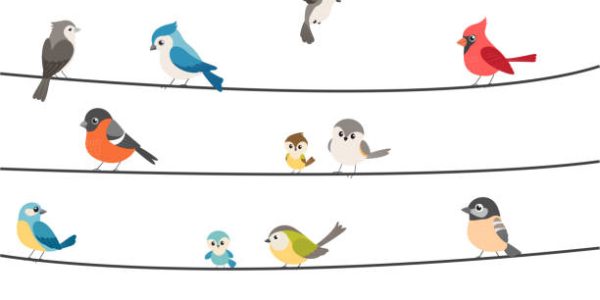 Vector Illustration of Colorful birds sitting on wire isolated on white

eps10