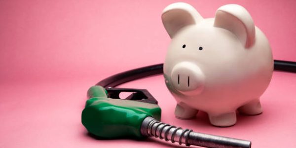 This is a photo of a large white piggy bank on a pink background. This is a concept photo related to finance and money at the gas station.