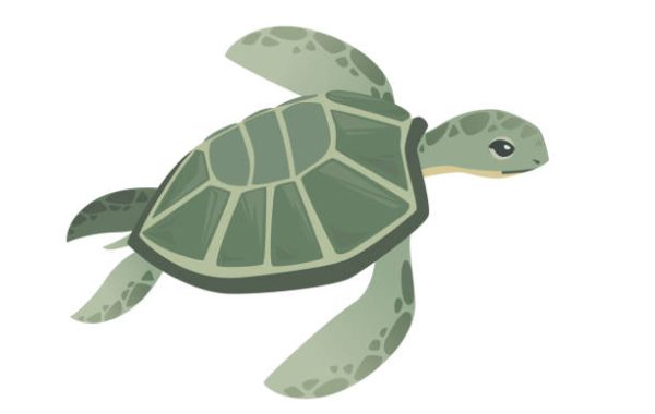 Big green sea turtle cartoon cute animal design ocean tortoise swimming in water flat vector illustration isolated on white background.