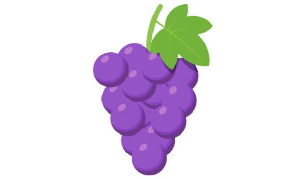 Purple Grapes isolated on white background. Vector illustration. Eps 10.